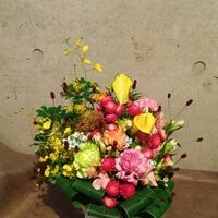 ブログ