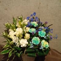 ブログ