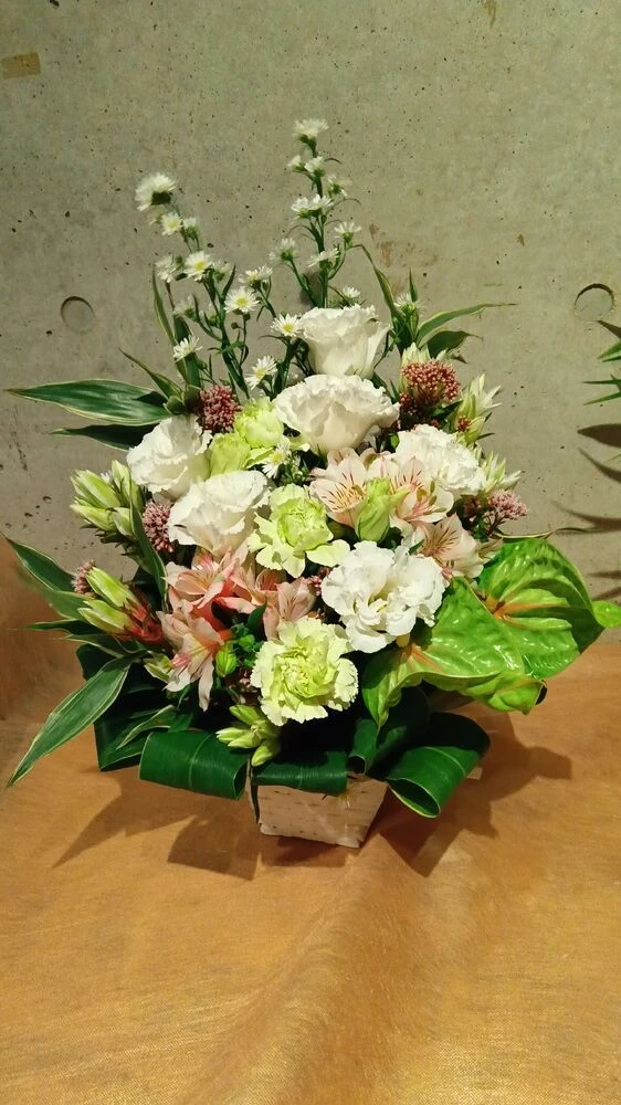 画像22739