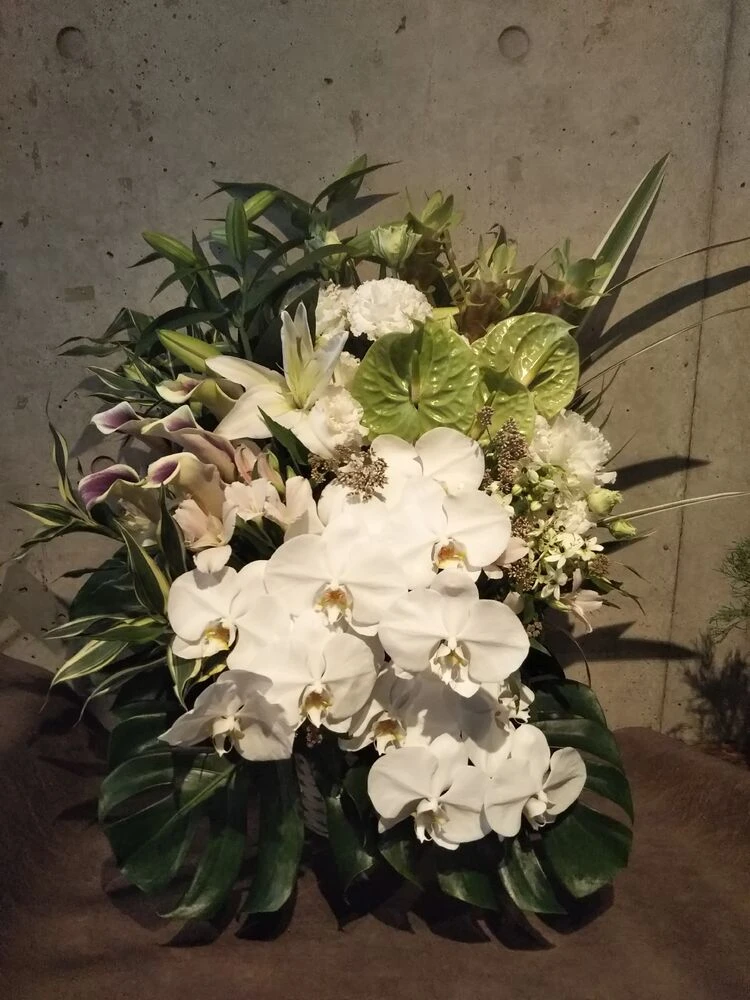 画像22742