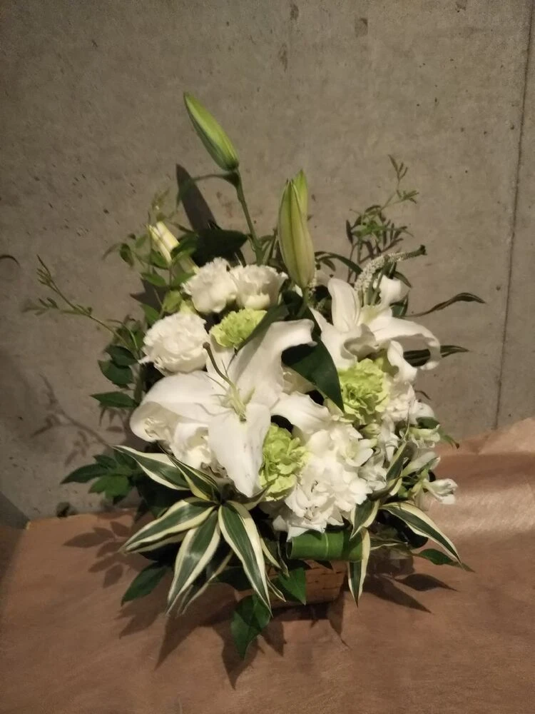 画像22743