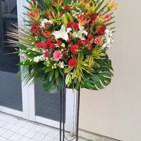 ブログ