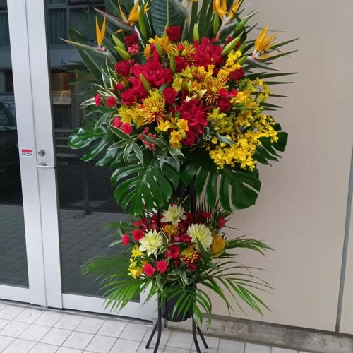 画像2322：クリニック様の開業の御祝いに！