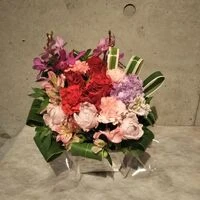 ブログ
