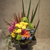 ブログ