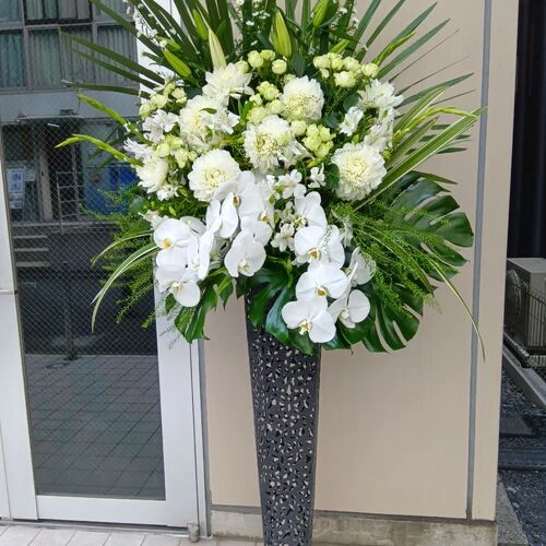 画像3985：胡蝶蘭を゙入れてスタンド花!!