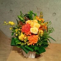 ブログ