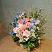 ブログ