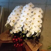 画像4758：高級感なホワイト系スタンド花2段