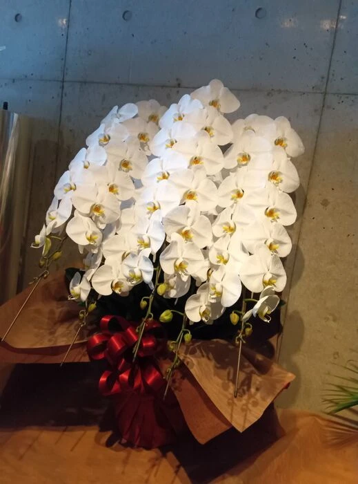 画像4758：高級感なホワイト系スタンド花2段