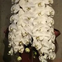 画像4759：高級感なホワイト系スタンド花2段