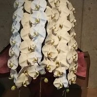 画像4760：高級感なホワイト系スタンド花2段