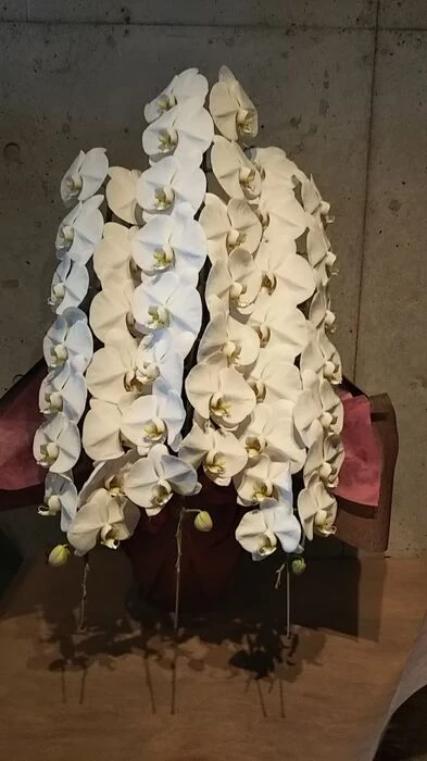 画像4760：高級感なホワイト系スタンド花2段