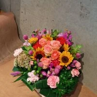 ブログ
