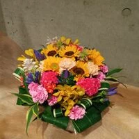 ブログ