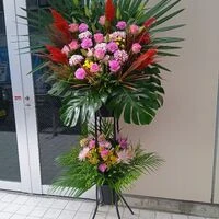 ブログ