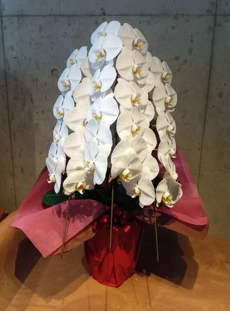 画像9162