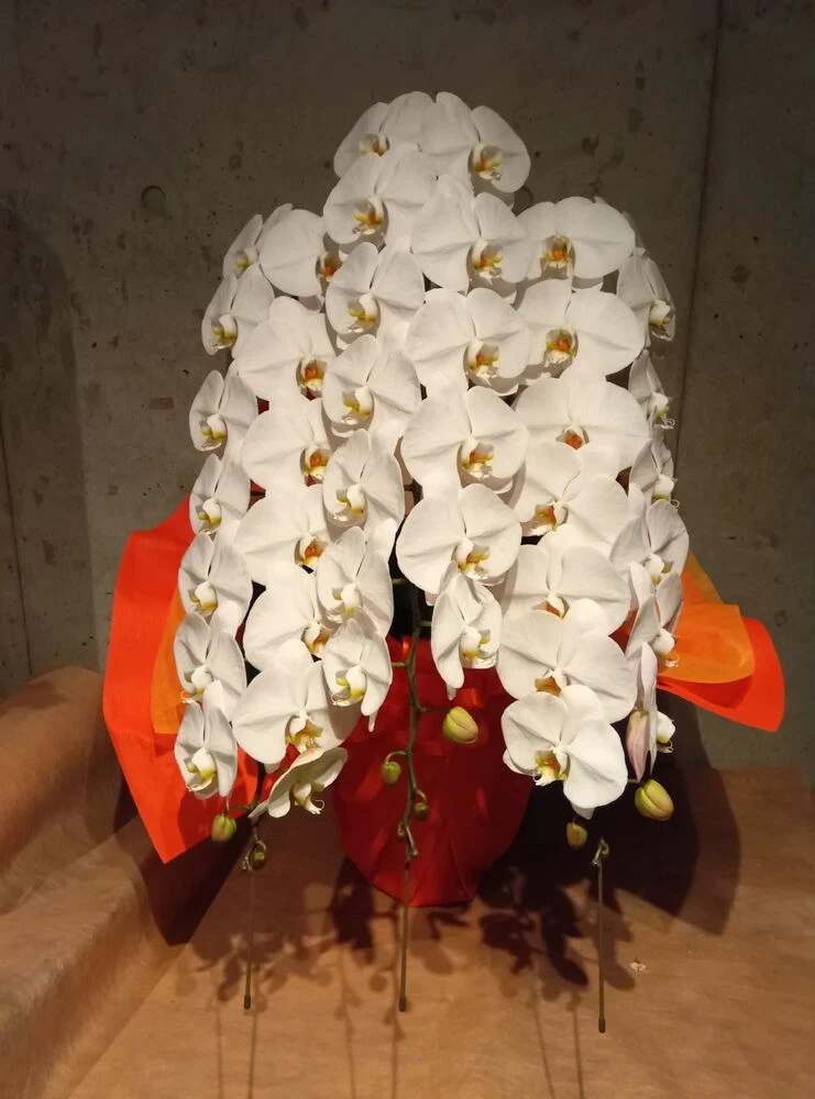画像9331